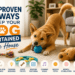 10 Proven Ways to Keep Your Dog Entertained in the House