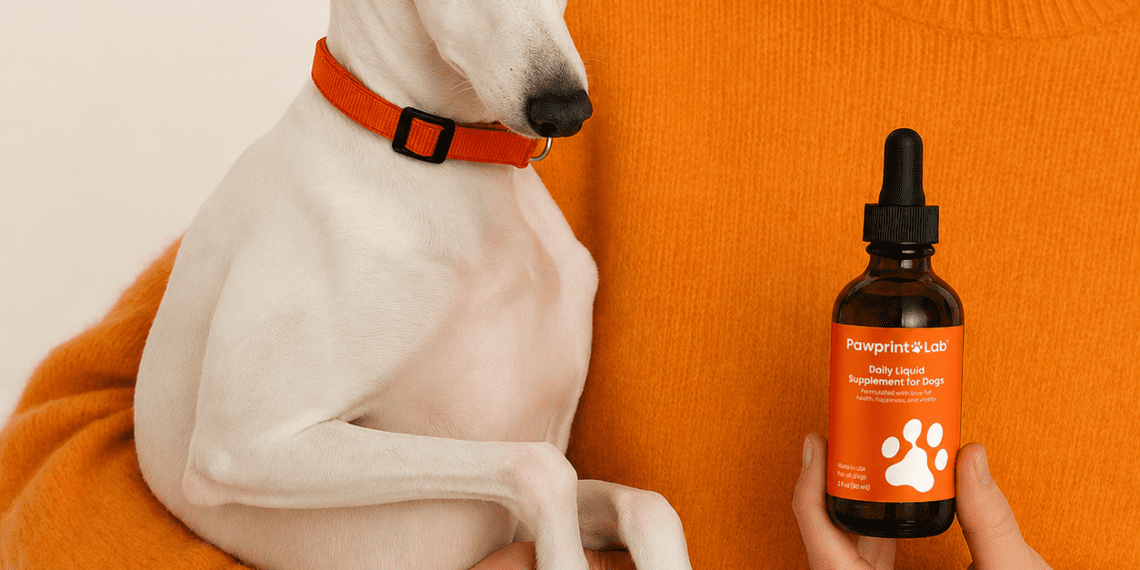 Pawprint Protocol Review (2026): Does This Liquid Dog Supplement Actually Work? 5 PawPrint Protocol Review