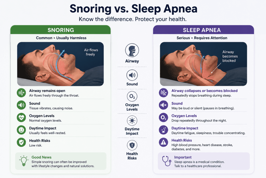 Snoring vs Sleep Apnea: How to Tell the Difference (2026) 2 Snoring vs Sleep Apnea