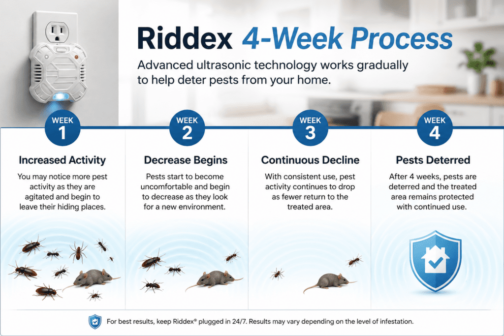 4-week timeline showing how Riddex electromagnetic pest control works over time.