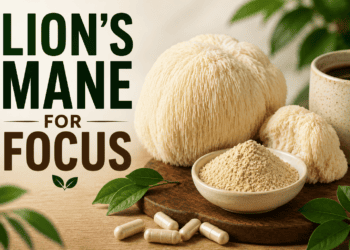 Lion's Mane for Focus