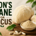 Lion's Mane for Focus