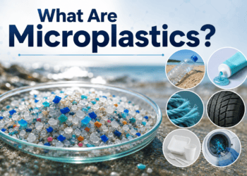What Are Microplastics