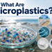 What Are Microplastics